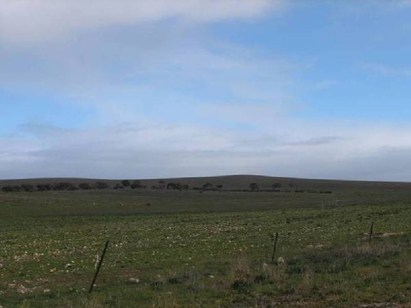 20 Garwood Road, Monarto South SA 5254