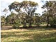 4 Mannum Road, Murray Bridge SA 5253