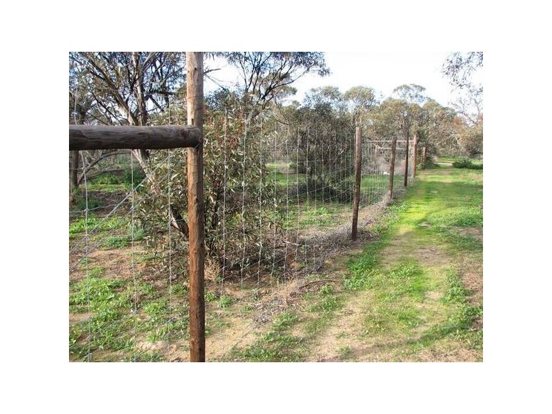 4 Mannum Road, Murray Bridge SA 5253