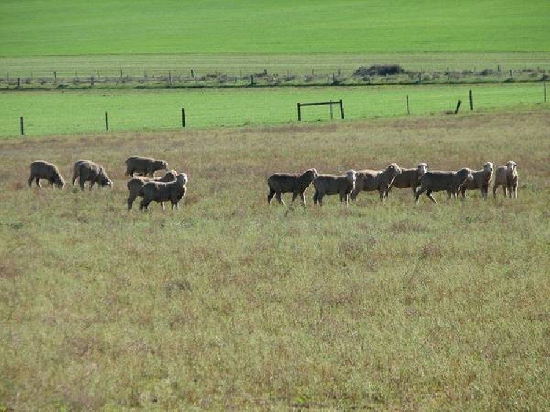 Lot 32 Tepko Road, Murray Bridge SA 5253