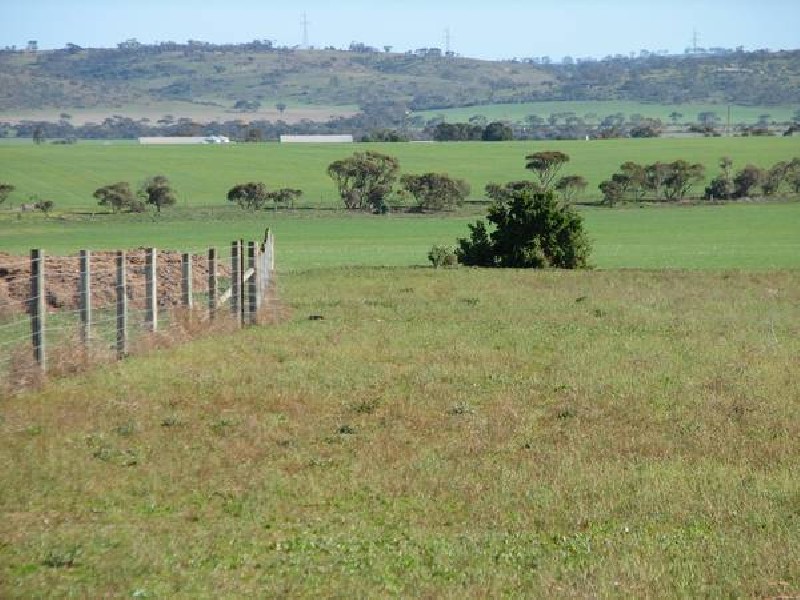 Lot 32 Tepko Road, Murray Bridge SA 5253