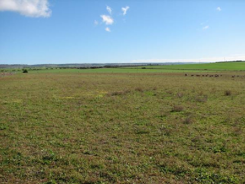 Lot 32 Tepko Road, Murray Bridge SA 5253