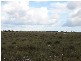 Kowald Road & Lomandra Road, Tailem Bend SA 5260