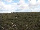 Kowald Road & Lomandra Road, Tailem Bend SA 5260