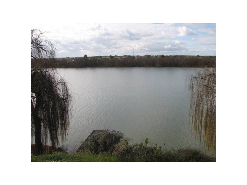 Lot 654 Govt Rd (Jervois Rd), Wellington SA 5259