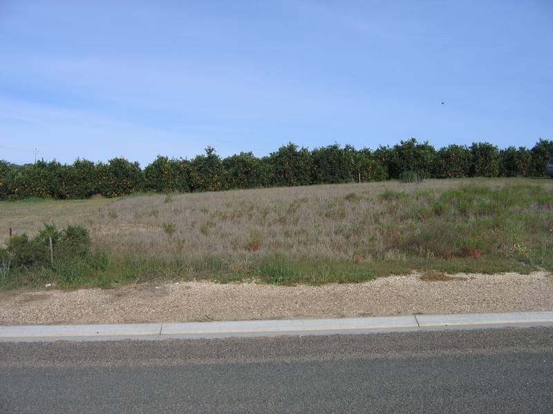 4 Murray Avenue, Mypolonga SA 5254