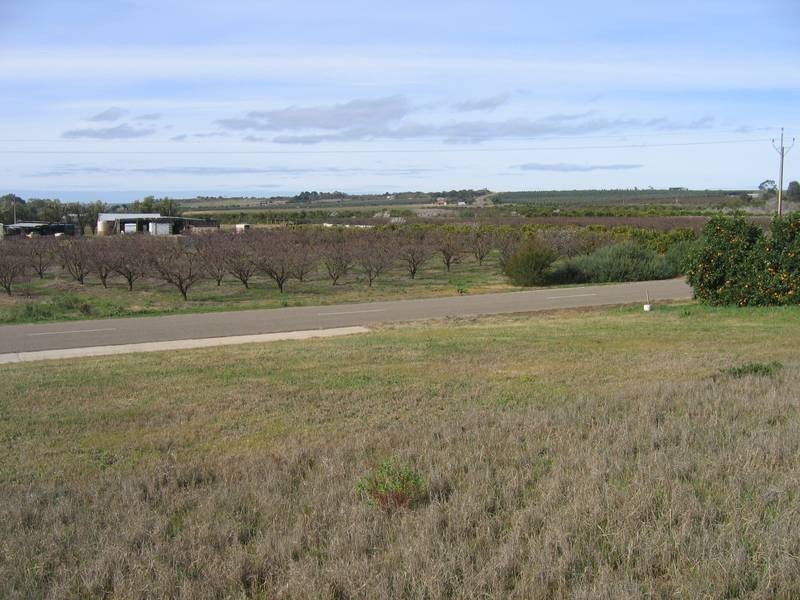 4 Murray Avenue, Mypolonga SA 5254