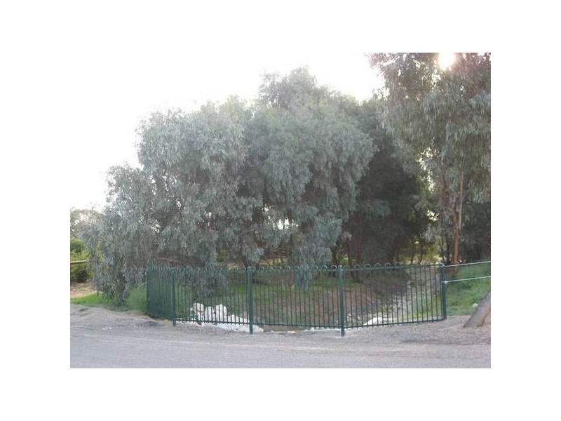 43 Torrens Road, Murray Bridge SA 5253