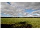 Lot 1 Mannum – Murray Bridge Road, Mannum SA 5238