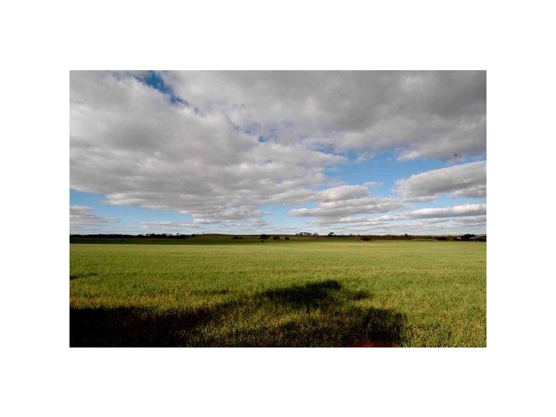 Lot 1 Mannum – Murray Bridge Road, Mannum SA 5238