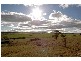 Lot 1 Mannum – Murray Bridge Road, Mannum SA 5238