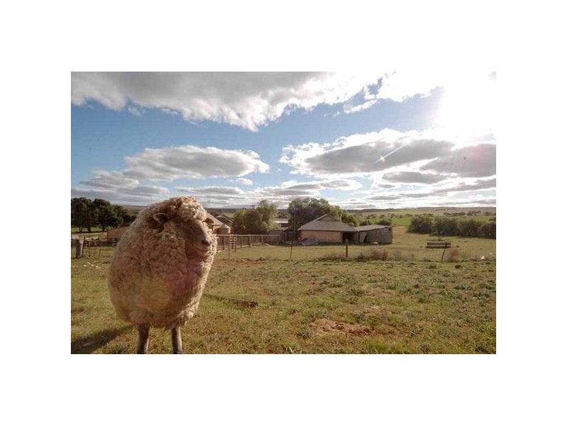 Lot 1 Mannum – Murray Bridge Road, Mannum SA 5238