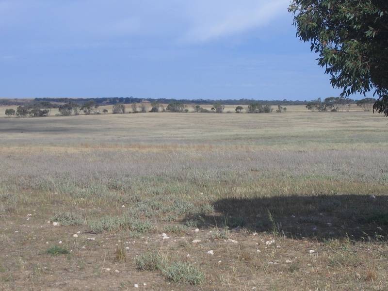 Lt 3 Buller Road Via Kepa Road Murray Bridge, Murray Bridge SA 5253