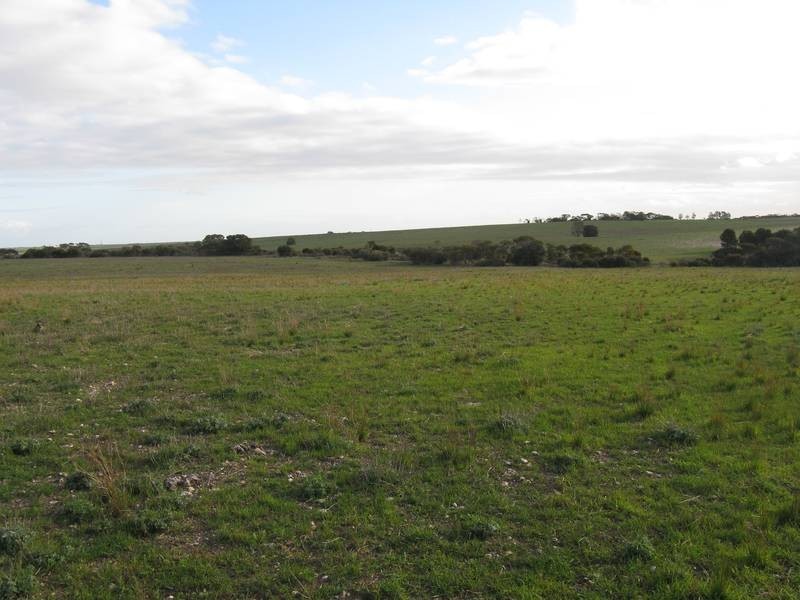 Lt 3 Buller Road Via Kepa Road Murray Bridge, Murray Bridge SA 5253