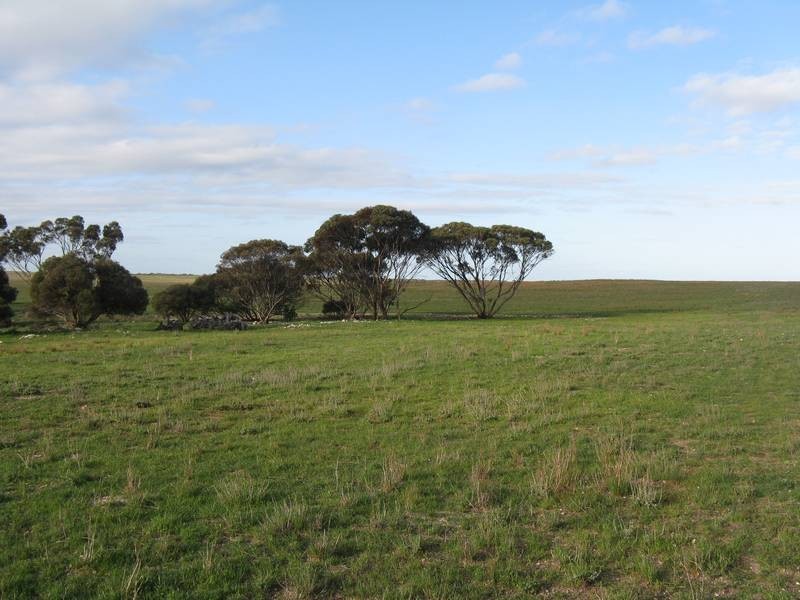 Lt 3 Buller Road Via Kepa Road Murray Bridge, Murray Bridge SA 5253