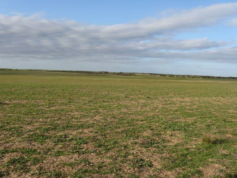 Lt 3 Buller Road Via Kepa Road Murray Bridge, Murray Bridge SA 5253