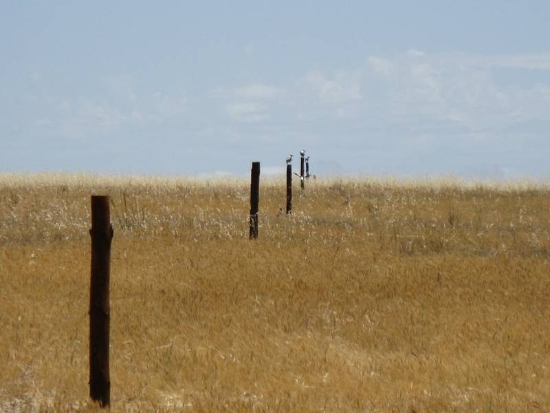 Lt 3 Buller Road Via Kepa Road Murray Bridge, Murray Bridge SA 5253