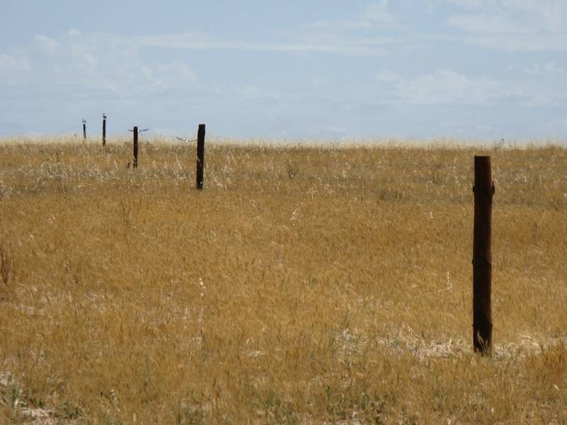 Lt 3 Buller Road Via Kepa Road Murray Bridge, Murray Bridge SA 5253