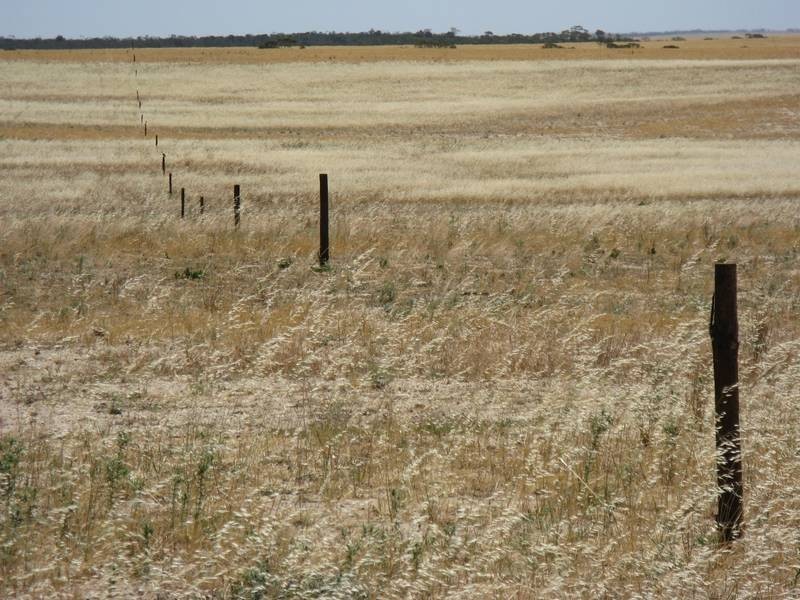 Lt 3 Buller Road Via Kepa Road Murray Bridge, Murray Bridge SA 5253