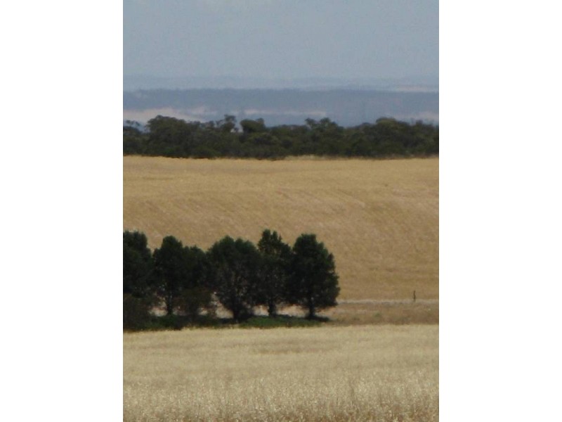 Lt 3 Buller Road Via Kepa Road Murray Bridge, Murray Bridge SA 5253