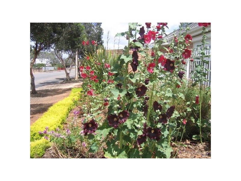 2-5 Hawke Road, Murray Bridge SA 5253