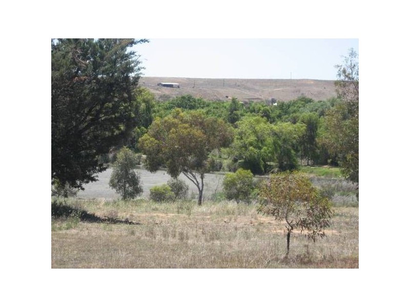 Cnr Murray Drive & Derwent Avenue, Murray Bridge East SA 5253
