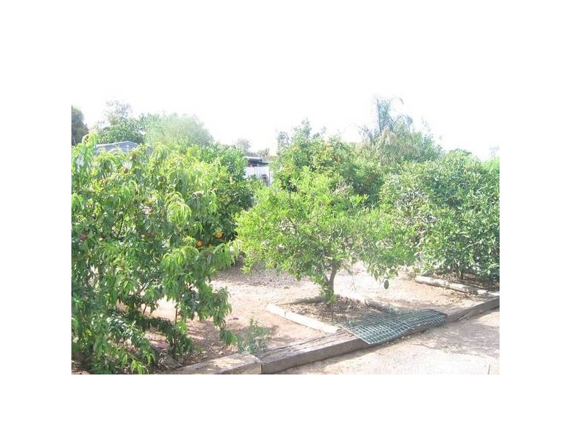 17 Tennyson Terrace, Murray Bridge SA 5253