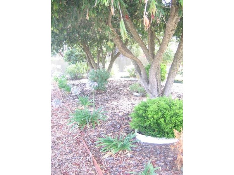 17 Tennyson Terrace, Murray Bridge SA 5253