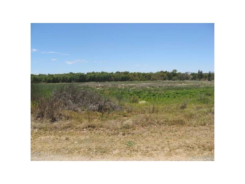 189 Murray Drive, Murray Bridge East SA 5253