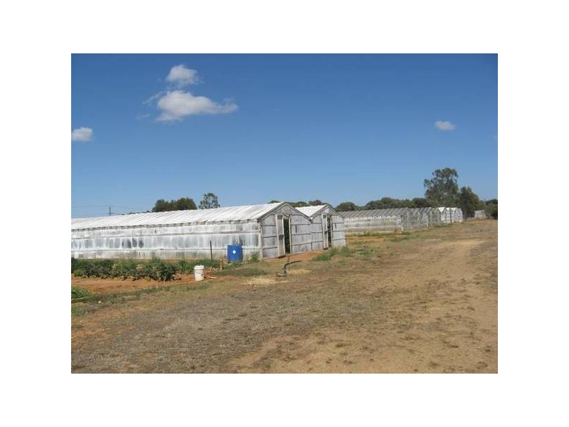 150 Sir John Cowan Avenue, Murray Bridge SA 5253