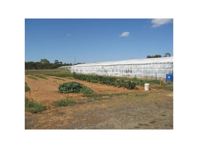 150 Sir John Cowan Avenue, Murray Bridge SA 5253