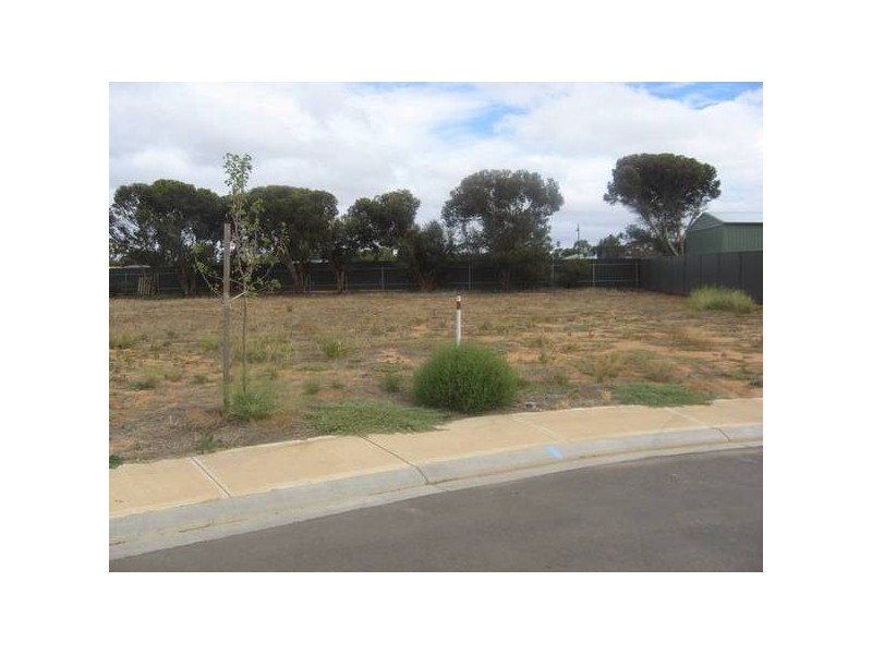 12 Cameron Court, Murray Bridge SA 5253