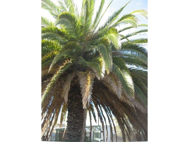 161 Princes Highway, Tailem Bend SA 5260