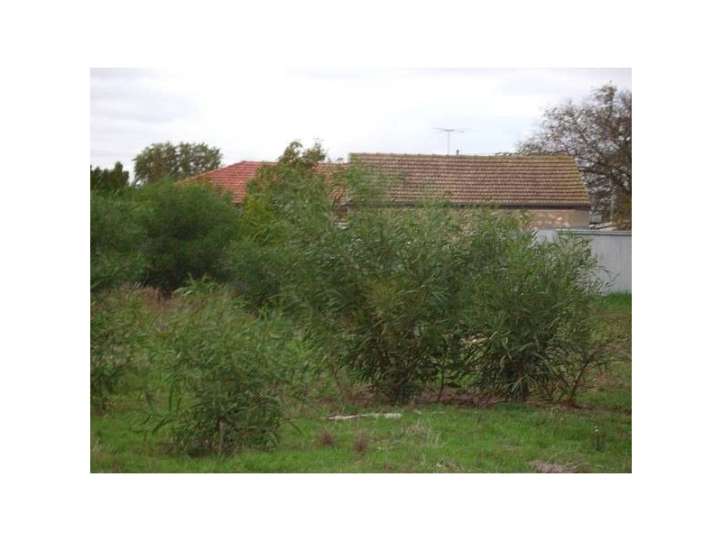 16 Melville Terrace, Murray Bridge SA 5253