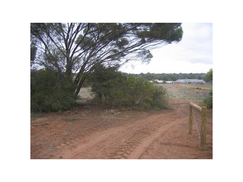 202 Lodden Road, Murray Bridge SA 5253
