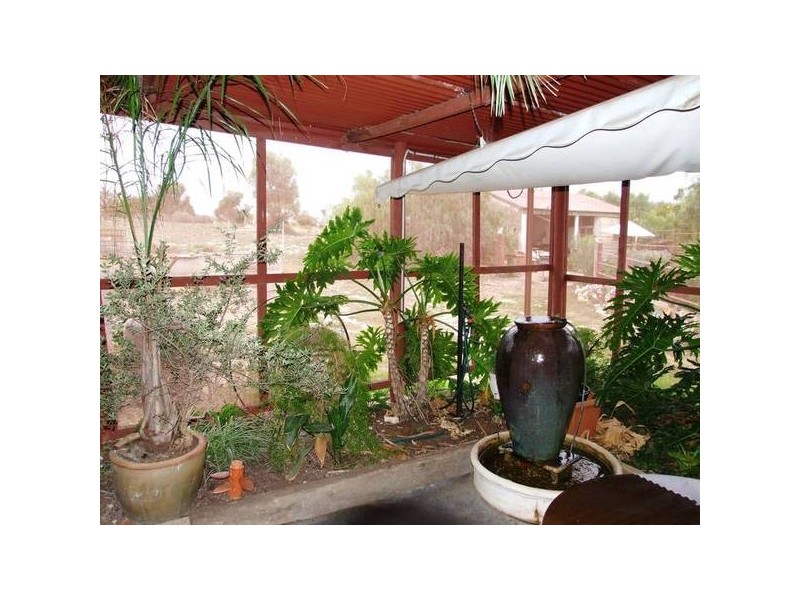 41 Doyle Road, Murray Bridge SA 5253