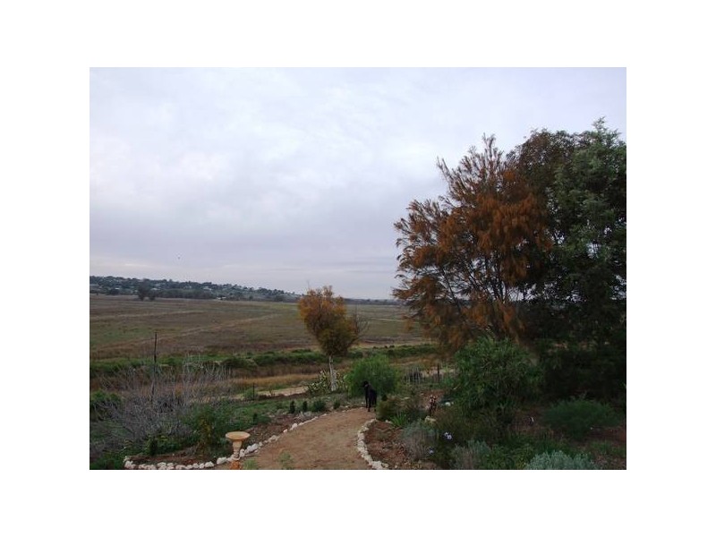 41 Doyle Road, Murray Bridge SA 5253