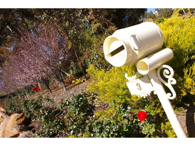 3 Thiele Road, Murray Bridge SA 5253