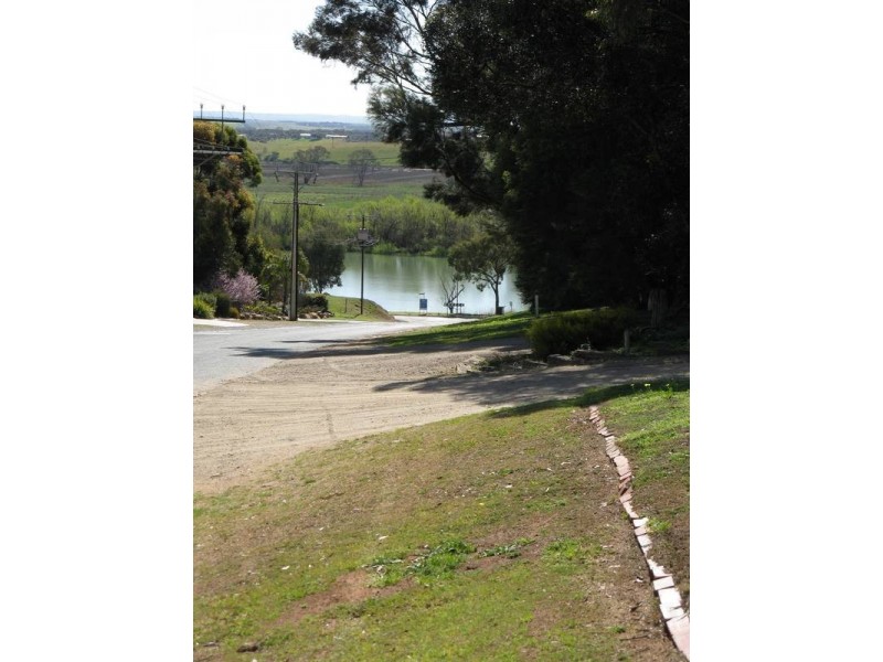 16 Thiele Road, Murray Bridge SA 5253