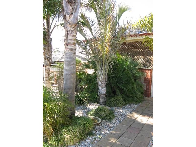 3 Prosperity Grove, Murray Bridge SA 5253