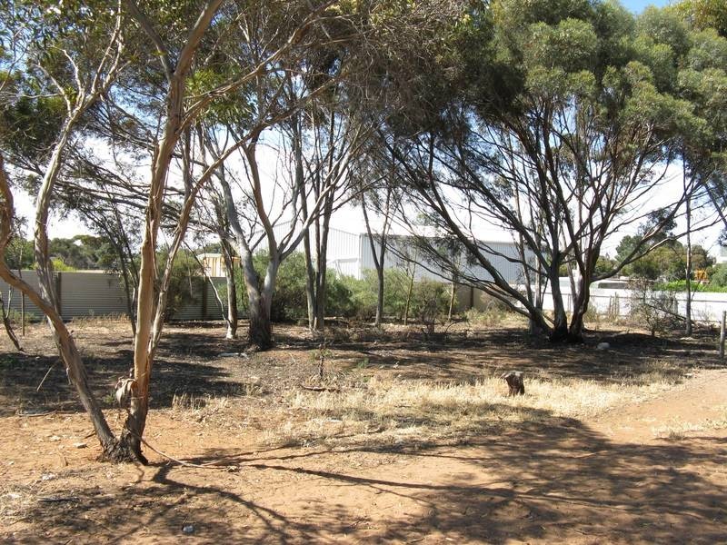 98 Dorset St, Murray Bridge SA 5253