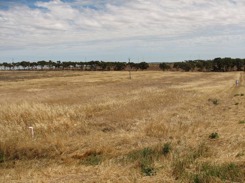 Lot 232 Queen Louisa Drive, Murray Bridge SA 5253
