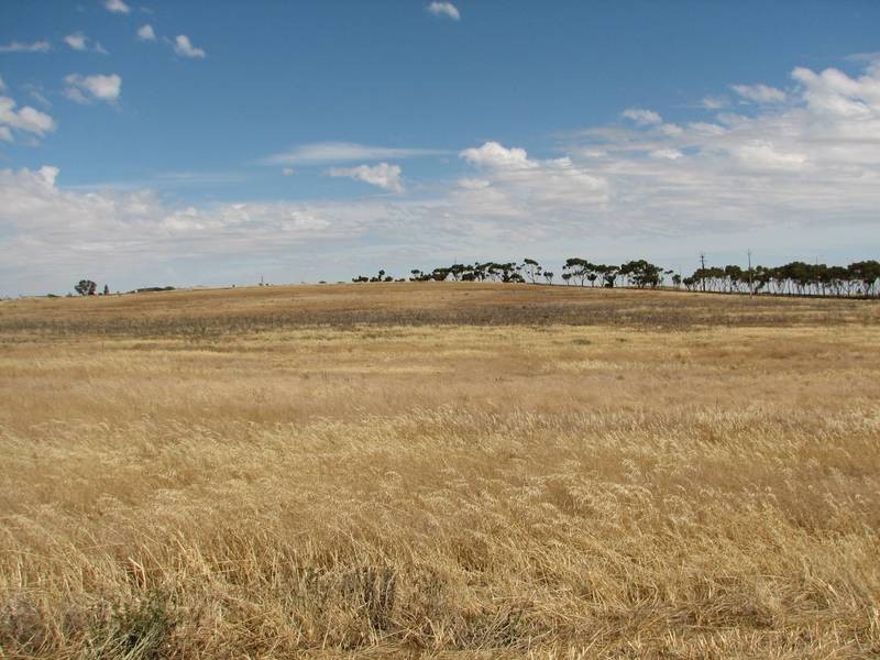Lot 232 Queen Louisa Drive, Murray Bridge SA 5253