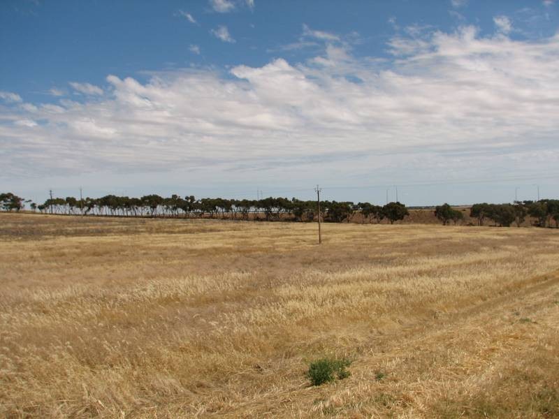 Lot 232 Queen Louisa Drive, Murray Bridge SA 5253