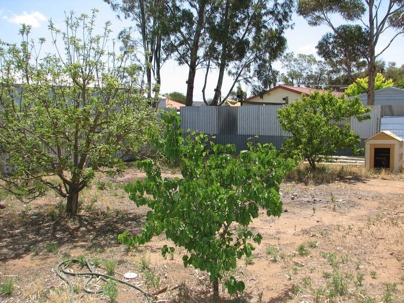 28 Garden Crescent, Murray Bridge SA 5253