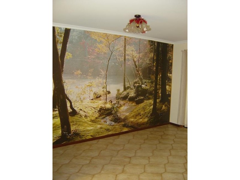 11 Junjaree Street, Kawungan QLD 4655