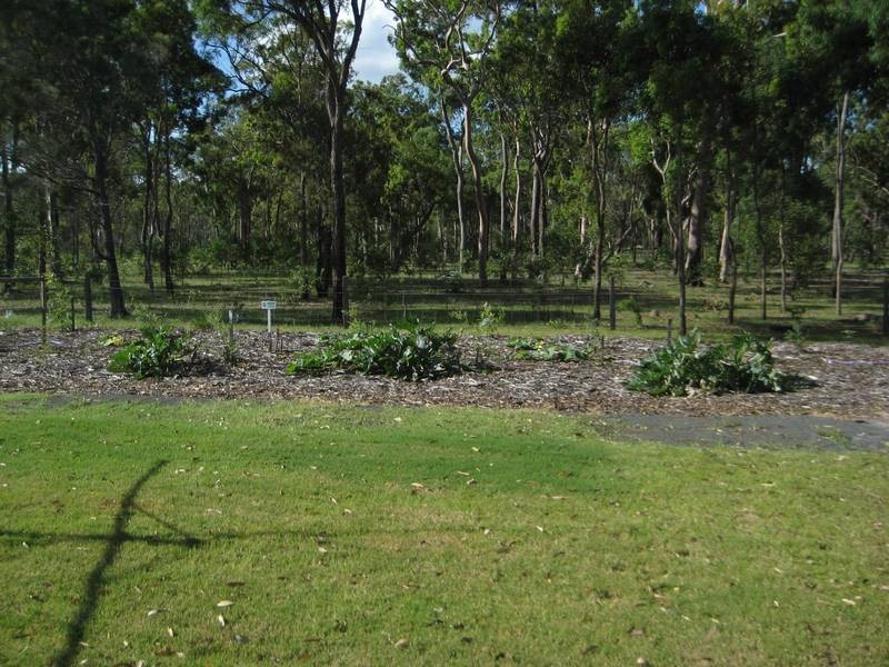 Lot 48, 15 Elboz, Burrum Heads QLD 4659