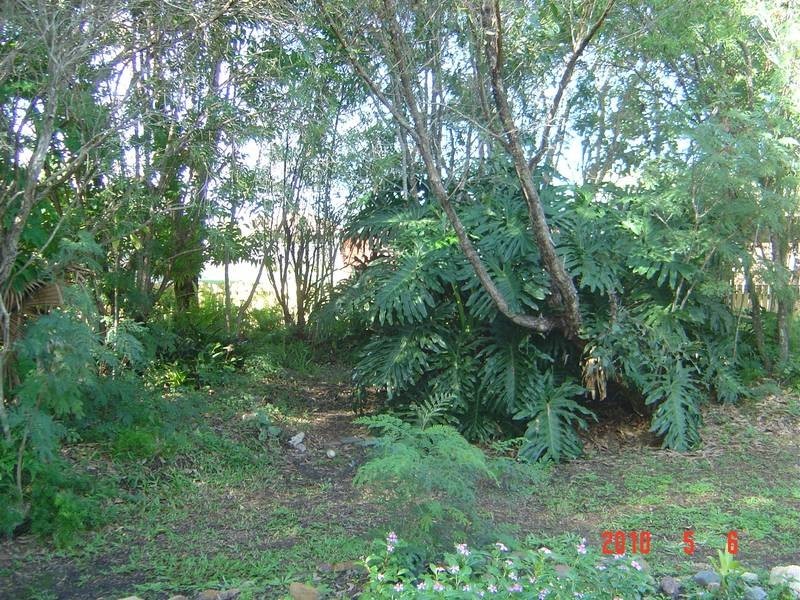 Lot 49, 3 Cupania Way, Kawungan QLD 4655