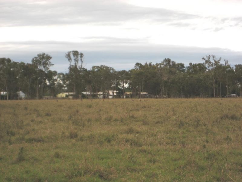 Lot 1, 539 Maryborough – Hervey Bay Road, Nikenbah QLD 4655