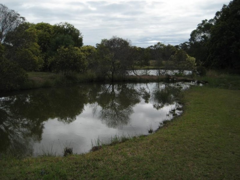 6 Sanctuary Hills Road, Takura QLD 4655